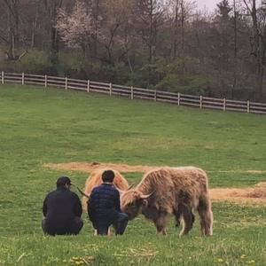 Meet your Posher, Scott